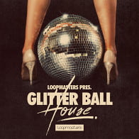 Glitter Ball House product image