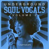 Underground Soul Vocals 2 product image