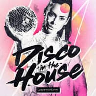 Disco in the House product image