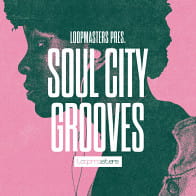 Soul City Grooves product image
