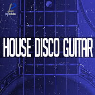 House Disco Guitar product image