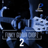 Funky Guitar Chopz 2 product image