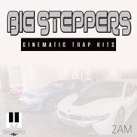 Big Steppers product image