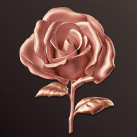 Rose Goldn product image