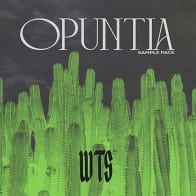 Opuntia product image