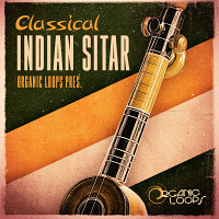 Classical Indian Sitar product image
