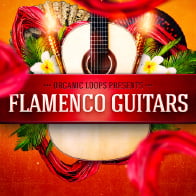 Flamenco Guitars product image