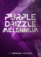 Purple Drizzle: Millennium Hip Hop Loops