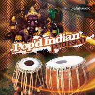 Pop'd Indian Percussion product image