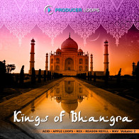 Kings of Bhangra Vol.2 product image