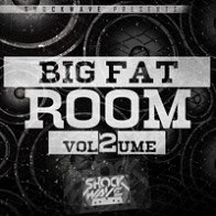 Play It Loud - Big Fat Room Vol.2 product image