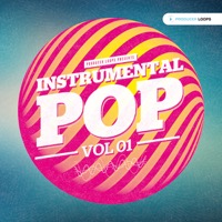 Instrumental Pop Vol 1 product image