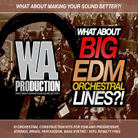 What About Big EDM Orchestral Lines product image