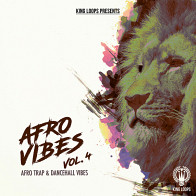 Afro Vibes Vol 4 product image