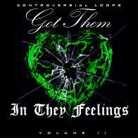 Got Them In They Feelings Vol 2 product image