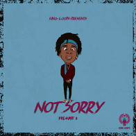 Not Sorry Vol 3 product image