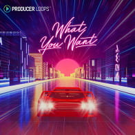 What You Want product image