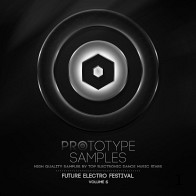 Future Electro Festival Vol 6 product image