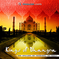 Kings Of Bhangra Vol.3 product image