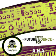 Shocking Future Bounce For A.N.A.  product image