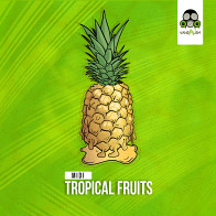 MIDI: Tropical Fruits product image