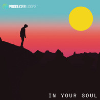 In Your Soul product image
