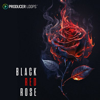 Black Red Rose product image