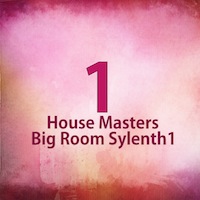 House Master Big Room Sylenth1 product image