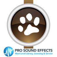 Animals Sound Effects - Birds product image