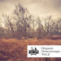 Organic Downtempo Vol. 2 product image