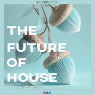 The Future of House product image