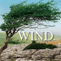 Wind Sound Effects product image