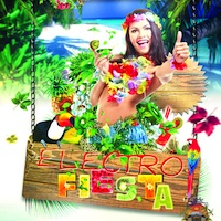 Electro Fiesta product image