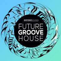 Future Groove House product image