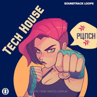 Tech House Punch product image