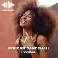 African Dancehall Vol. 1 product image