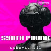 Synth Phunk product image