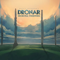 DRONAR Orchestral Woodwinds product image