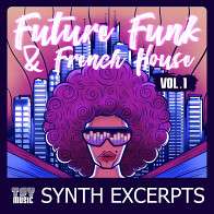 Future Funk & French House Vol.1 Synth Excerpts product image