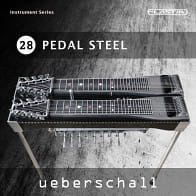 Pedal Steel product image