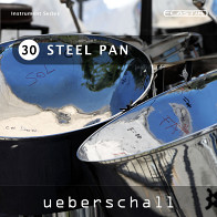 Steel Pan product image