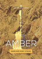 Amber product image