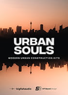 Urban Souls product image