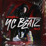 Loops By YC Vol 2 product image