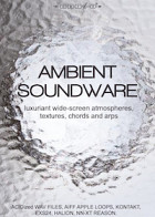 Ambient Soundware product image