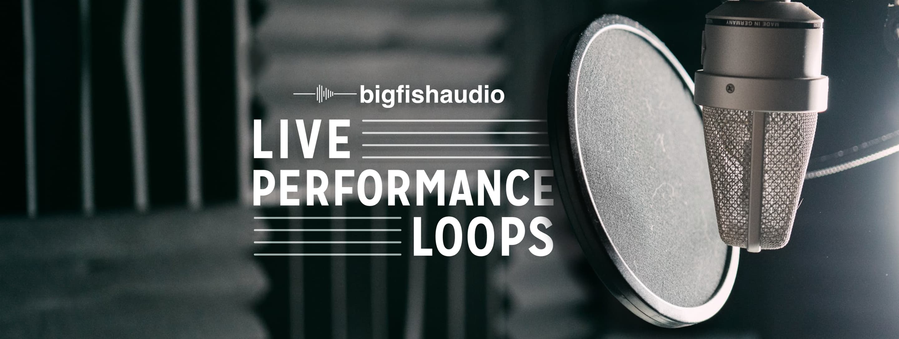 Big Fish Audio Live Performance Loops