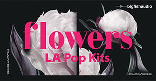 Flowers: LA Pop Kits