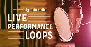 Live Performance Loops
