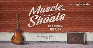Muscle Shoals: Rock, Rhythm, and Blues