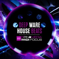 MIDI Focus - Deep Warehouse Beats - Grittier, tougher Deep House and Tech House sounds